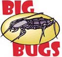 bigbugs