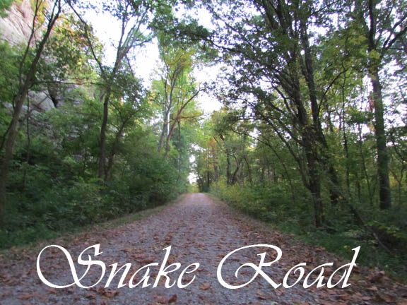 Snake Road