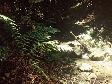 Santa Cruz Creek