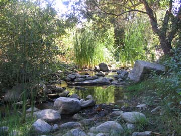 California Creek