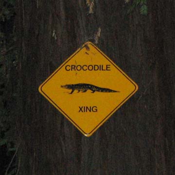 Crocodile Crossing