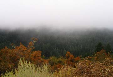 Misty Mountains