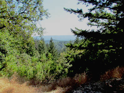 Santa Cruz Mountains