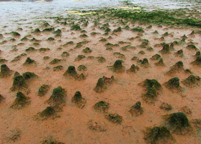 Lunar Landscape