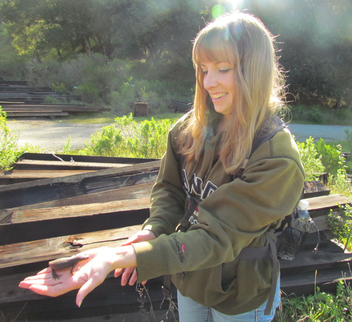 California Newt