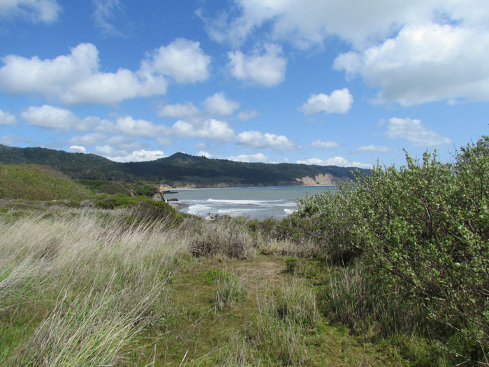 California Coast