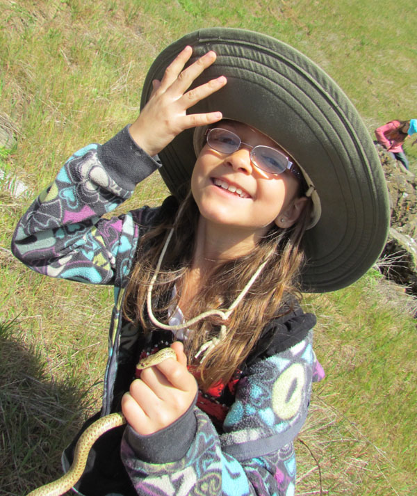 Gopher Snake