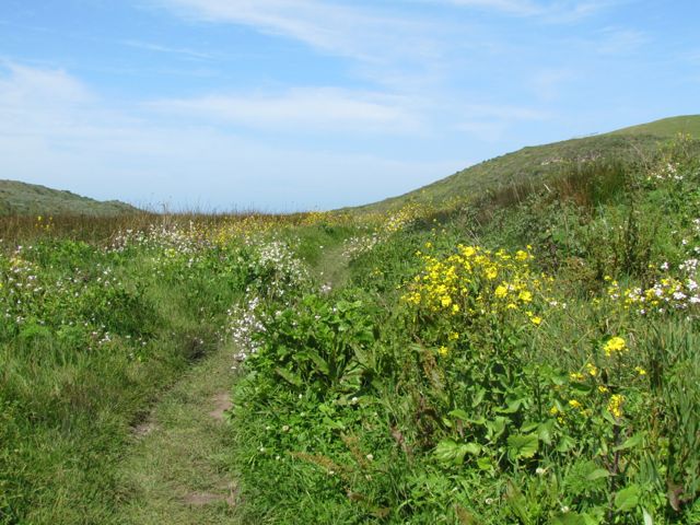 hiking path