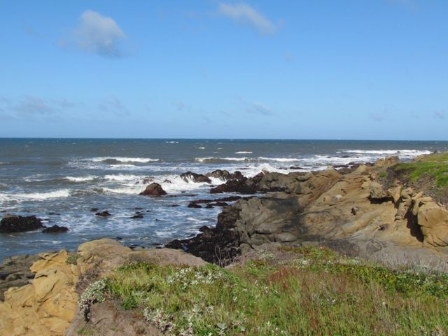 CALIFORNIA COAST