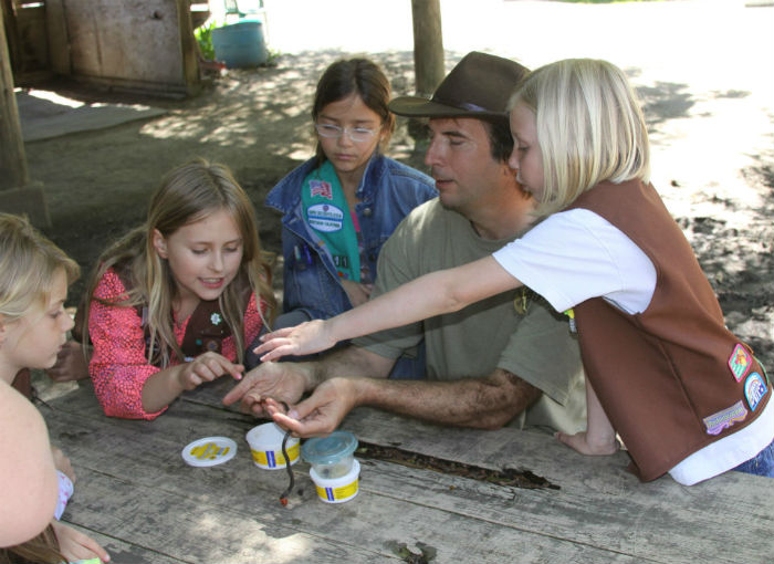 Los Gatos Girl Scout Troop 1411