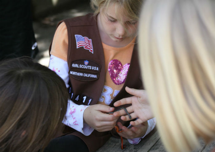 Los Gatos Girl Scout Troop 1411