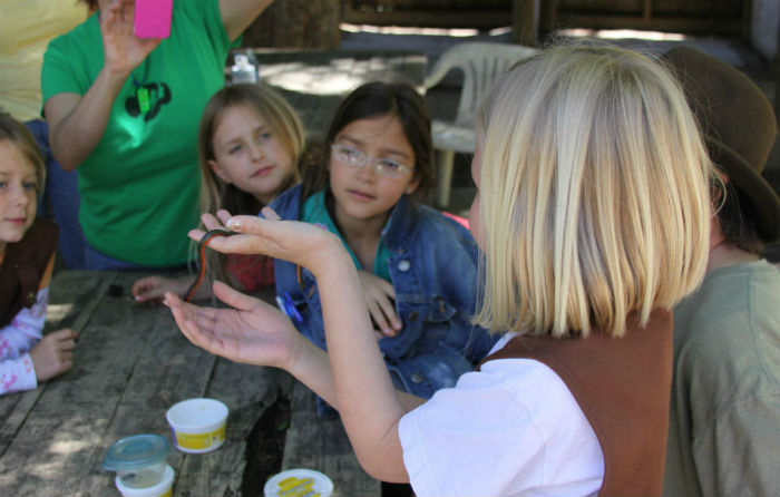 Los Gatos Girl Scout Troop 1411