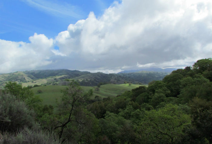Mountain Habitat