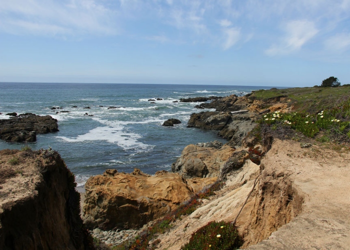 Pacific Coast
