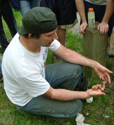 Spring Salamander