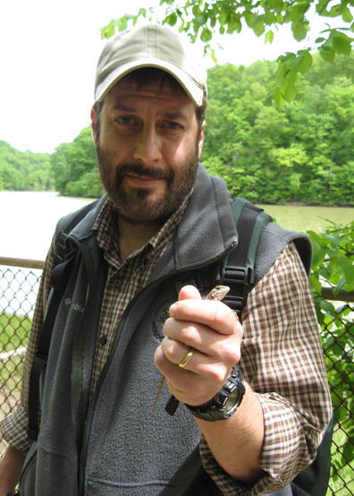 Scott and Fence Lizard