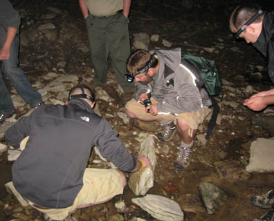 Night Hike