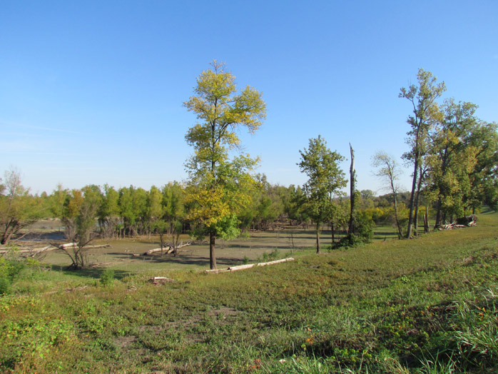 Big Muddy River