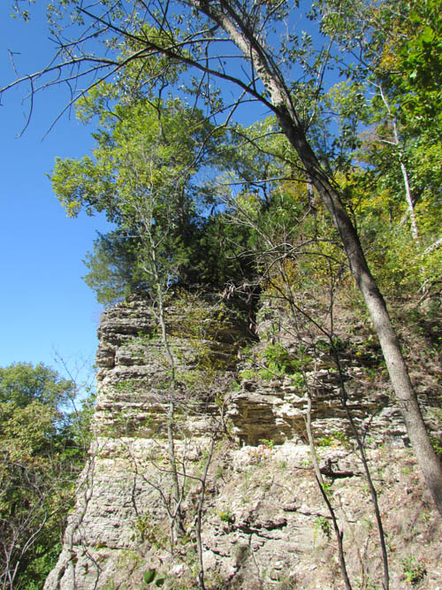 Limestone Bluffs