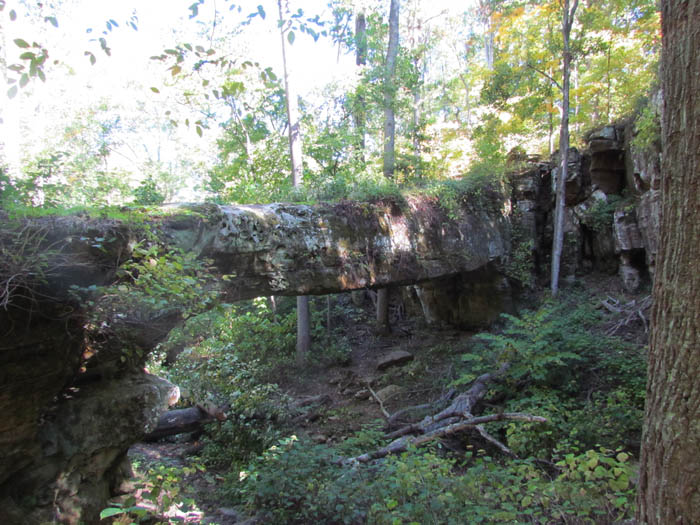 Pomona Natural Bridge