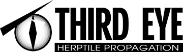 Third Eye Logo