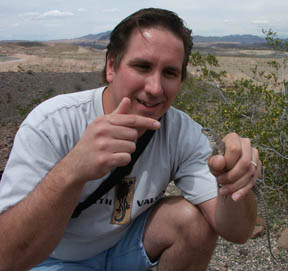 Desert Iguana