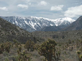 Mt. Charleston