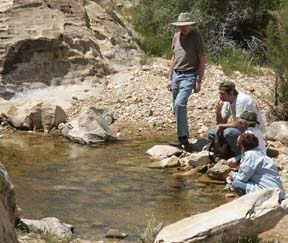 Desert Pool