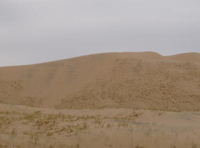 Kelso Dunes