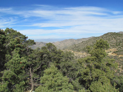 cerbats mountains