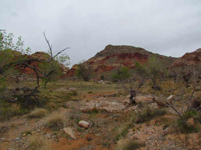 Red Rock Canyon