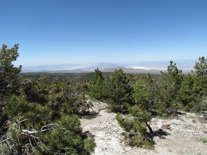 MOUNT CHARLESTON