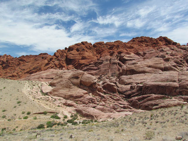 RED ROCK CANYON