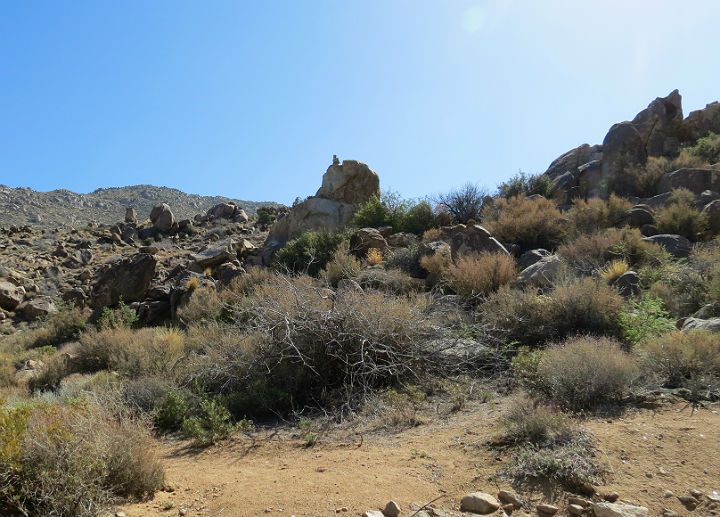 Cerbat Mountains