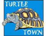 Turtle Town