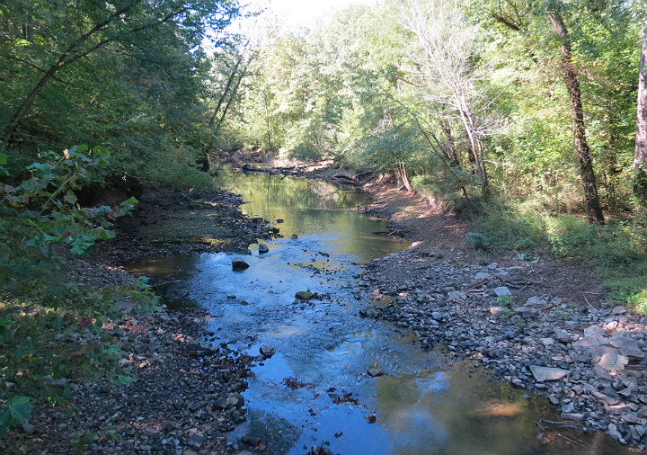 Cache River